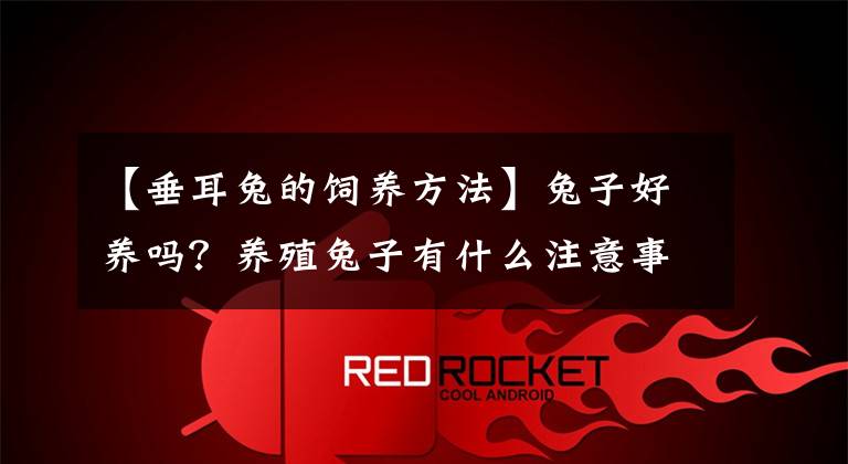 【垂耳兔的饲养方法】兔子好养吗?养殖兔子有什么注意事项?