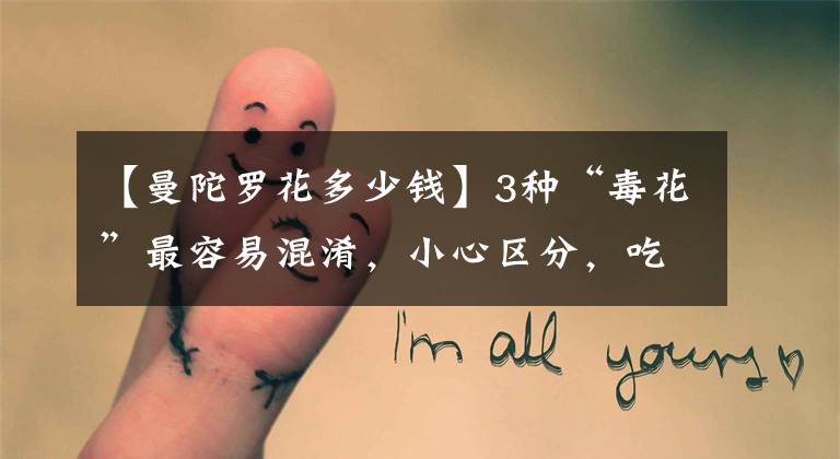 【曼陀罗花多少钱】3种“毒花”最容易混淆，小心区分，吃错会要命