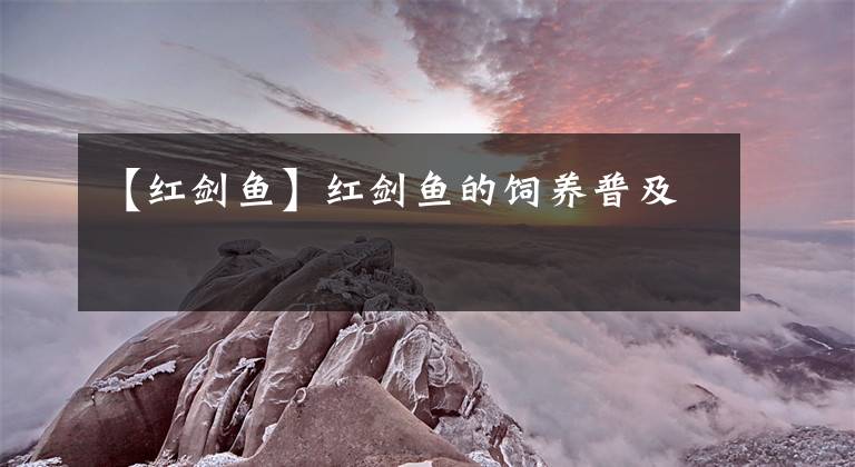 【红剑鱼】红剑鱼的饲养普及