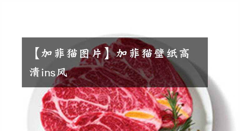 【加菲猫图片】加菲猫壁纸高清ins风