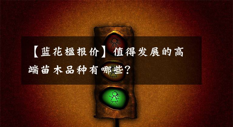 【蓝花楹报价】值得发展的高端苗木品种有哪些?