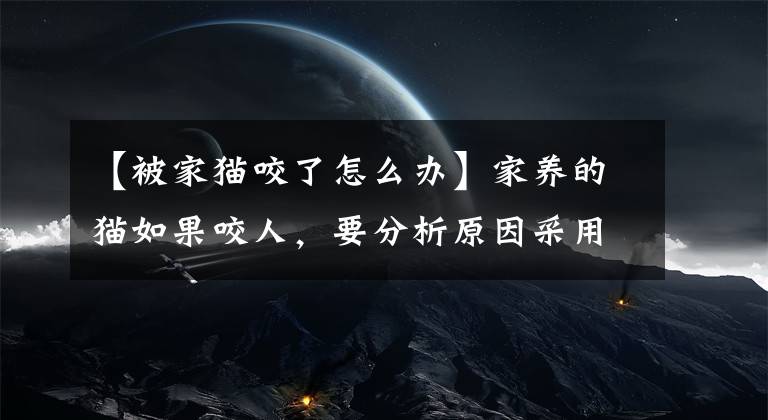 【被家猫咬了怎么办】家养的猫如果咬人，要分析原因采用不同方式应对，猫咬人怎么教育
