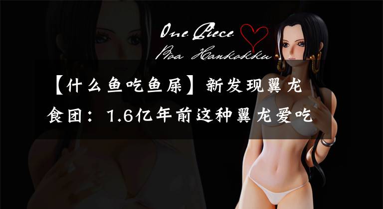 【什么鱼吃鱼屎】新发现翼龙食团：1.6亿年前这种翼龙爱吃古鳕鱼