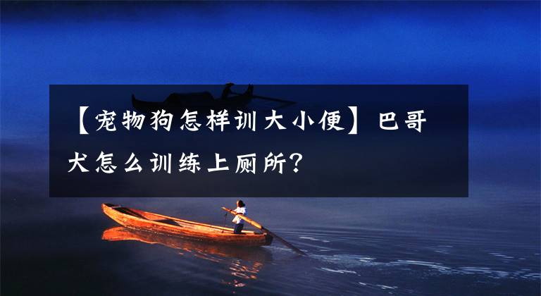 【宠物狗怎样训大小便】巴哥犬怎么训练上厕所?