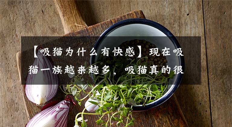 【吸猫为什么有快感】现在吸猫一族越来越多，吸猫真的很有快感吗？