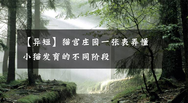 【异短】猫宫庄园一张表弄懂小猫发育的不同阶段