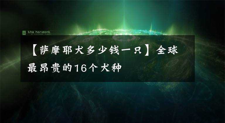 【萨摩耶犬多少钱一只】全球最昂贵的16个犬种