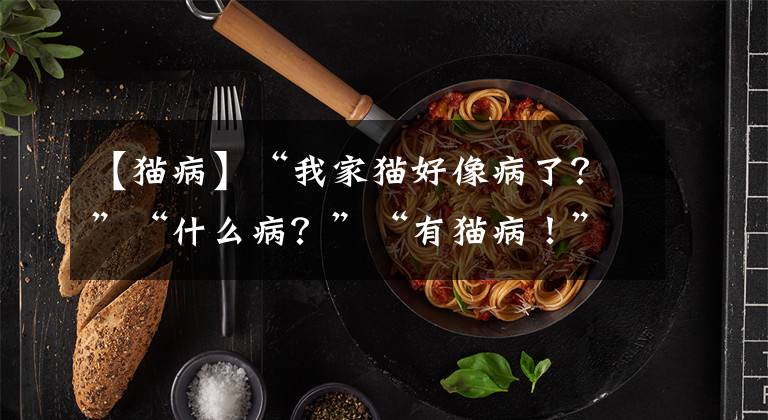 【猫病】“我家猫好像病了？”“什么病？”“有猫病！”