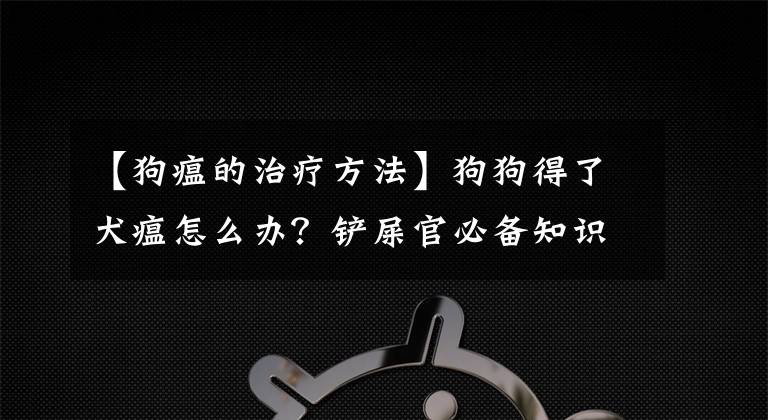 【狗瘟的治疗方法】狗狗得了犬瘟怎么办？铲屎官必备知识