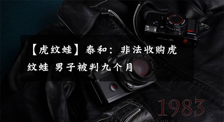 【虎纹蛙】泰和:非法收购虎纹蛙 男子被判九个月