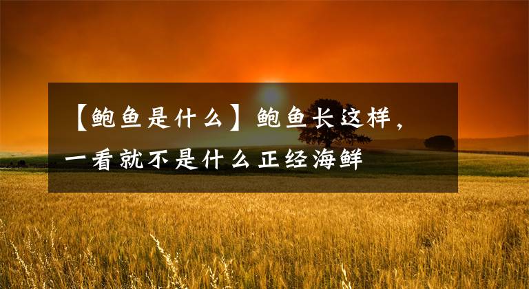 【鲍鱼是什么】鲍鱼长这样,一看就不是什么正经海鲜