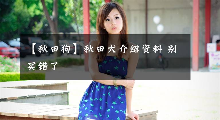 【秋田狗】秋田犬介绍资料 别买错了