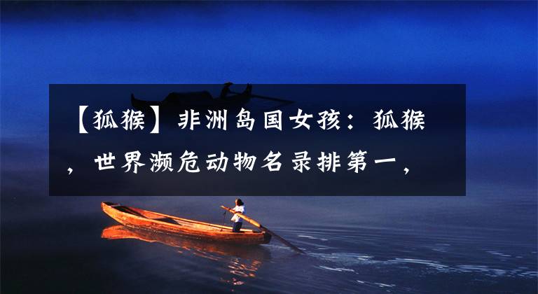 【狐猴】非洲岛国女孩:狐猴,世界濒危动物名录排第一,本地土著以此为食