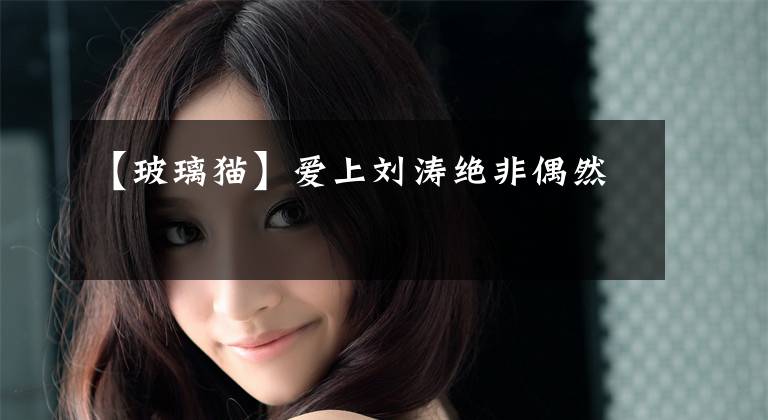 【玻璃猫】爱上刘涛绝非偶然