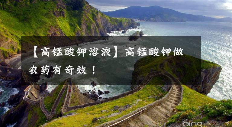 【高锰酸钾溶液】高锰酸钾做农药有奇效！