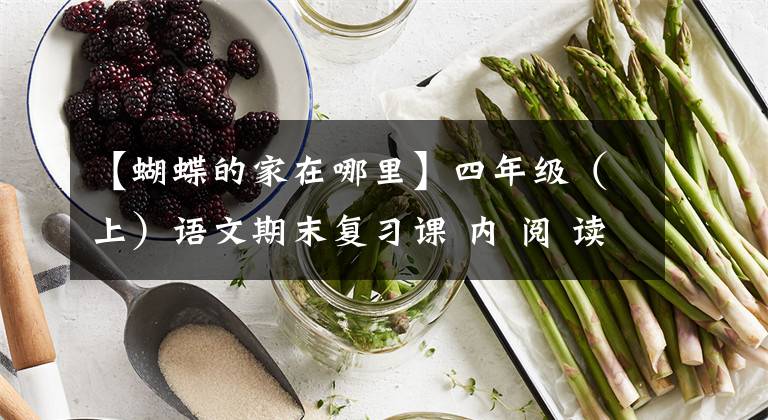 【蝴蝶的家在哪里】四年级(上)语文期末复习课 内 阅 读 归 纳