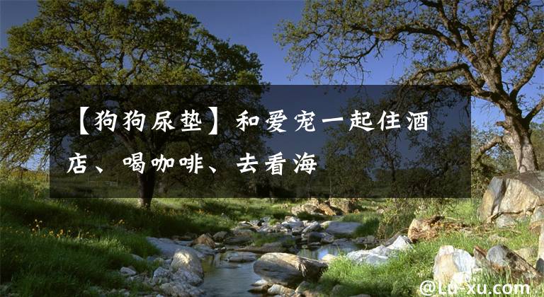 【狗狗尿垫】和爱宠一起住酒店、喝咖啡、去看海