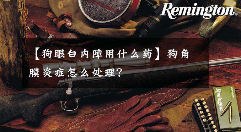 【狗眼白内障用什么药】狗角膜炎症怎么处理?