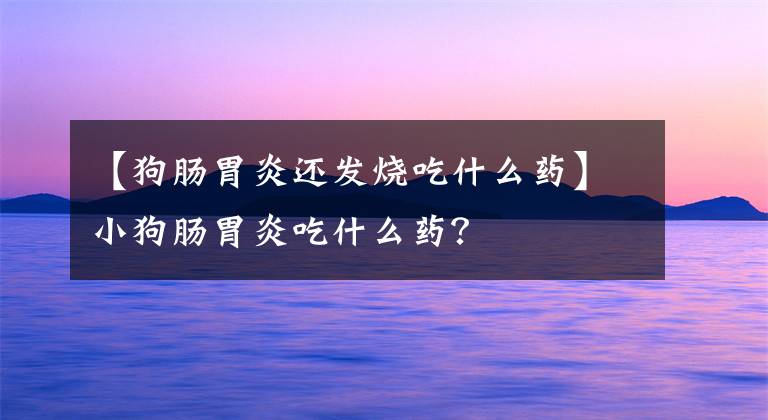 【狗肠胃炎还发烧吃什么药】小狗肠胃炎吃什么药?