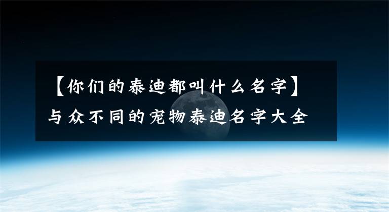 【你们的泰迪都叫什么名字】与众不同的宠物泰迪名字大全不同-可爱