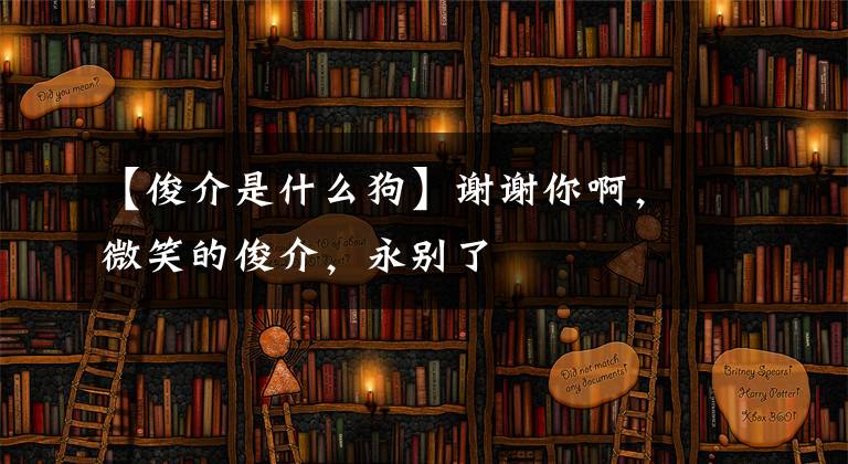 【俊介是什么狗】谢谢你啊，微笑的俊介，永别了