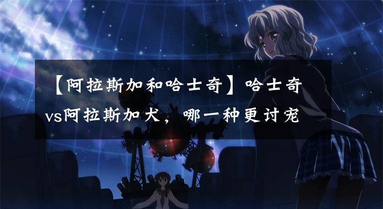 【阿拉斯加和哈士奇】哈士奇vs阿拉斯加犬，哪一种更讨宠主喜欢呢