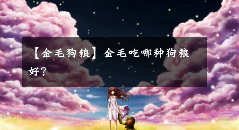 【金毛狗粮】金毛吃哪种狗粮好？