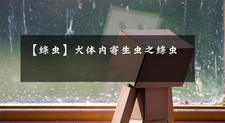 【绦虫】犬体内寄生虫之绦虫