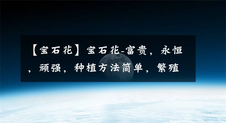 【宝石花】宝石花-富贵，永恒，顽强，种植方法简单，繁殖能力强，还防辐射