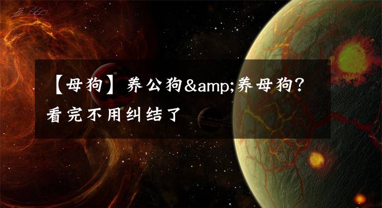 【母狗】养公狗&养母狗?看完不用纠结了