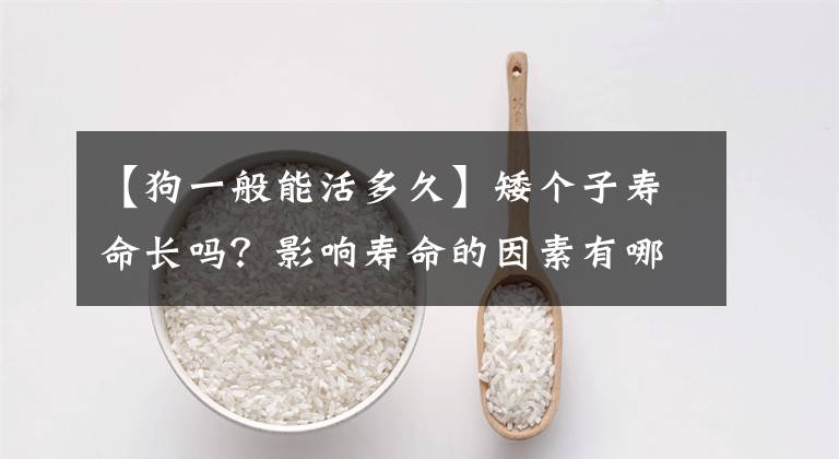 【狗一般能活多久】矮个子寿命长吗？影响寿命的因素有哪些？
