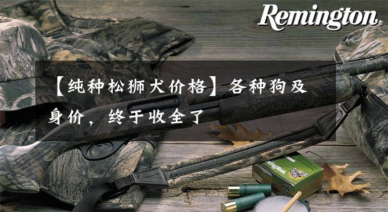 【纯种松狮犬价格】各种狗及身价，终于收全了