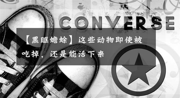 【黑眶蟾蜍】这些动物即使被吃掉，还是能活下来