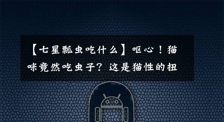 【七星瓢虫吃什么】呕心！猫咪竟然吃虫子？这是猫性的扭曲还是道德的沦丧