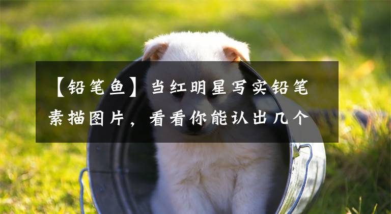 【铅笔鱼】当红明星写实铅笔素描图片,看看你能认出几个