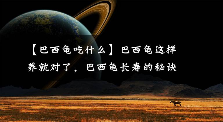 【巴西龟吃什么】巴西龟这样养就对了，巴西龟长寿的秘诀