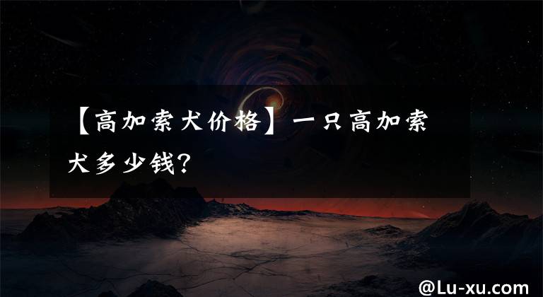 【高加索犬价格】一只高加索犬多少钱?