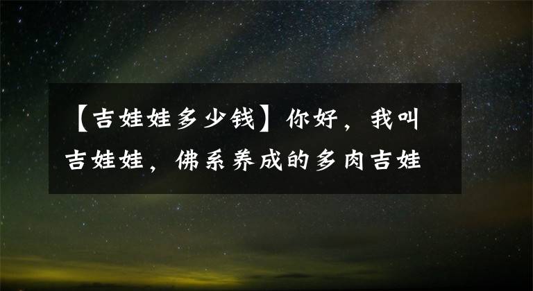 【吉娃娃多少钱】你好，我叫吉娃娃，佛系养成的多肉吉娃娃！