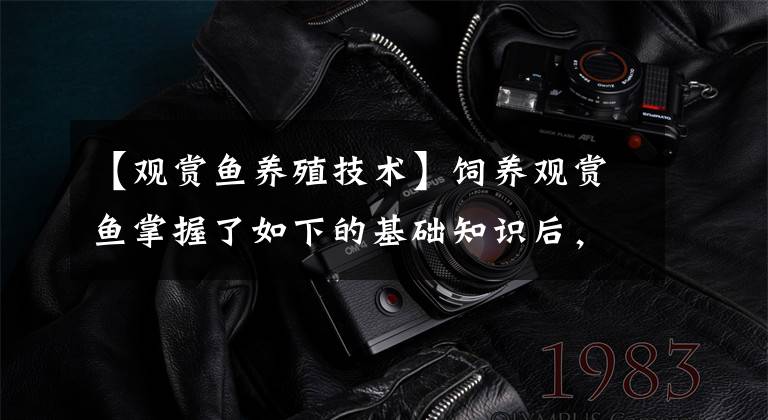 【观赏鱼养殖技术】饲养观赏鱼掌握了如下的基础知识后,剩下来的问题无需别人指点