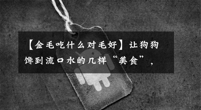 【金毛吃什么对毛好】让狗狗馋到流口水的几样“美食”，其实它都能吃