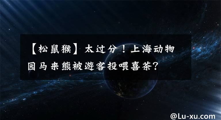 【松鼠猴】太过分！上海动物园马来熊被游客投喂喜茶？
