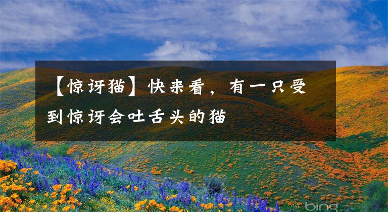 【惊讶猫】快来看，有一只受到惊讶会吐舌头的猫