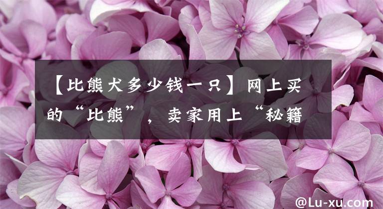 【比熊犬多少钱一只】网上买的“比熊”，卖家用上“秘籍”