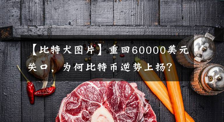 【比特犬图片】重回60000美元关口,为何比特币逆势上扬?