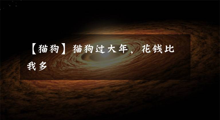 【猫狗】猫狗过大年,花钱比我多