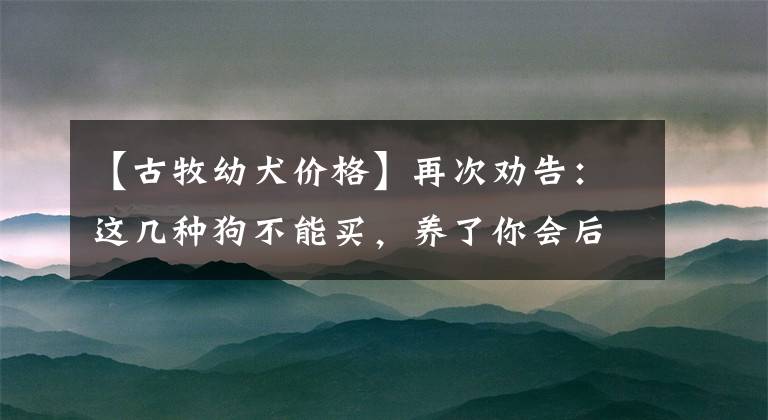 【古牧幼犬价格】再次劝告：这几种狗不能买，养了你会后悔的