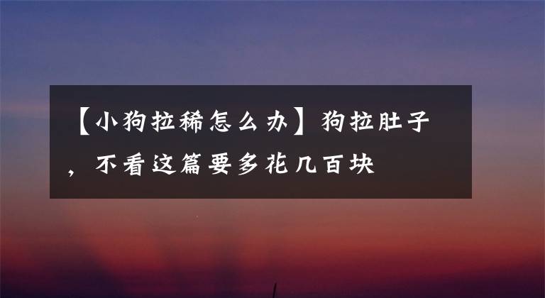 【小狗拉稀怎么办】狗拉肚子，不看这篇要多花几百块