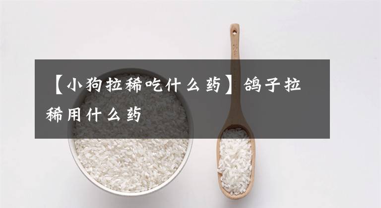 【小狗拉稀吃什么药】鸽子拉稀用什么药