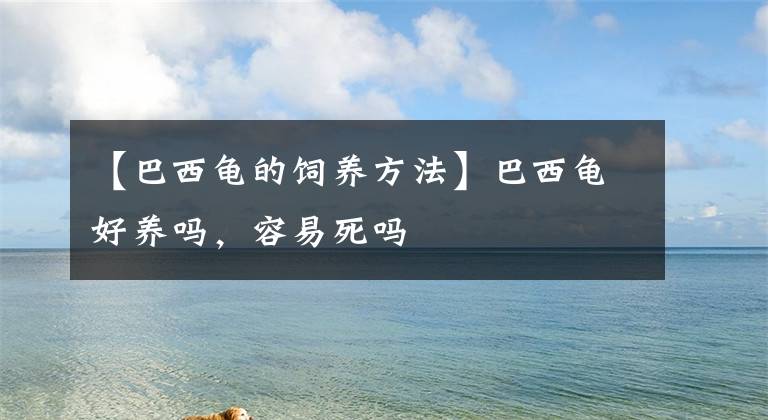 【巴西龟的饲养方法】巴西龟好养吗，容易死吗