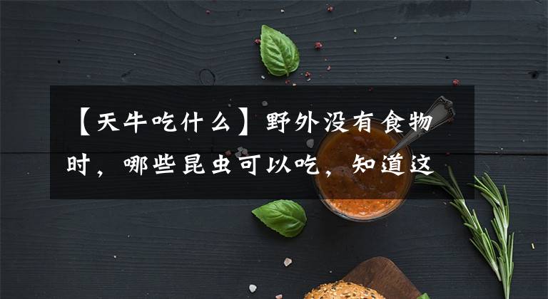 【天牛吃什么】野外没有食物时，哪些昆虫可以吃，知道这些，离贝爷就更近了一步